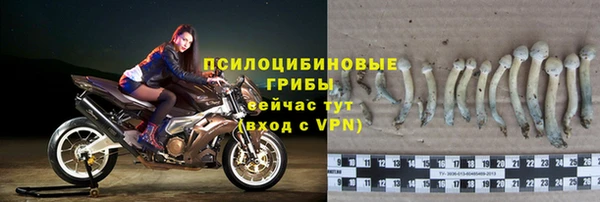 jwh Алзамай