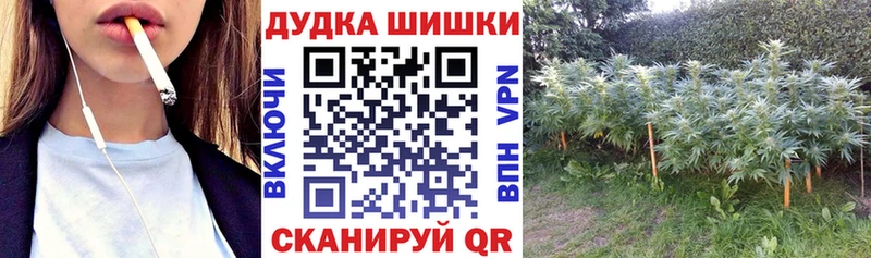 продажа наркотиков  Далматово  Шишки марихуана семена 